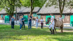 Fotorelacja - 70 lat konika polskiego w Popielnie – jubileuszowe spotkanie - zdjęcie 46