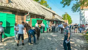 Fotorelacja - 70 lat konika polskiego w Popielnie – jubileuszowe spotkanie - zdjęcie 55