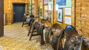 Fotorelacja - 70 lat konika polskiego w Popielnie – jubileuszowe spotkanie - zdjęcie 69