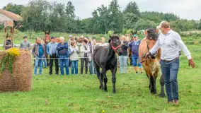 Sulimiada 2025 – przegląd źrebiąt i rodzinny piknik w Sulimach - zdjęcie 40