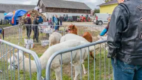 Fotorelacja z IV Redyku Mazurskiego, 04 października 2025 r. - zdjęcie 60