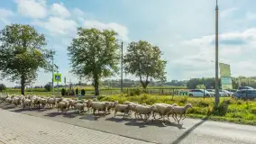 Fotorelacja z IV Redyku Mazurskiego, 04 października 2025 r. - zdjęcie 77