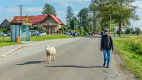 Fotorelacja z IV Redyku Mazurskiego, 04 października 2025 r. - zdjęcie 64