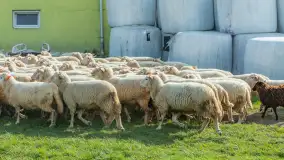 Fotorelacja z IV Redyku Mazurskiego, 04 października 2025 r. - zdjęcie 90