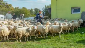 Fotorelacja z IV Redyku Mazurskiego, 04 października 2025 r. - zdjęcie 56