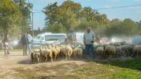 Fotorelacja z IV Redyku Mazurskiego, 04 października 2025 r. - zdjęcie 88