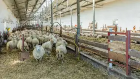 Fotorelacja z IV Redyku Mazurskiego, 04 października 2025 r. - zdjęcie 93