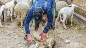 Fotorelacja z IV Redyku Mazurskiego, 04 października 2025 r. - zdjęcie 68