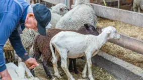 Fotorelacja z IV Redyku Mazurskiego, 04 października 2025 r. - zdjęcie 106