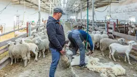 Fotorelacja z IV Redyku Mazurskiego, 04 października 2025 r. - zdjęcie 109