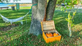 Dyniowy Port w Ogonkach, odkryj barwy jesieni na Mazurach - zdjęcie 39