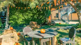 Dyniowy Port w Ogonkach, odkryj barwy jesieni na Mazurach - zdjęcie 2