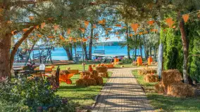 Dyniowy Port w Ogonkach, odkryj barwy jesieni na Mazurach - zdjęcie 34