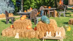 Dyniowy Port w Ogonkach, odkryj barwy jesieni na Mazurach - zdjęcie 8