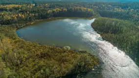 Barwy jesieni nad jeziorem Nidzkim i portem Pod Dębem, październik 2025 r. - zdjęcie 22