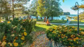 Jesienna wersja Ognistego Ptaka w Ogonkach, październik 2025 r. - zdjęcie 27