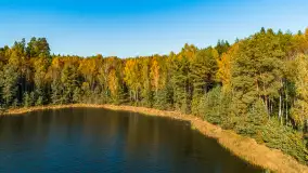 Jezioro Wesołek i puszcza Piska z drona, jesień 2025 r. - zdjęcie 17