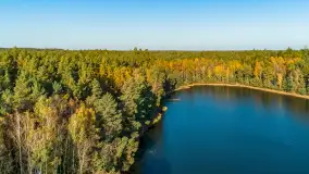 Jezioro Wesołek i puszcza Piska z drona, jesień 2025 r. - zdjęcie 21