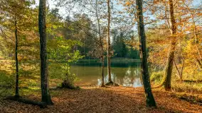 Jesień w Rezerwacie Przyrody Krutynia, październik 2025 r. - zdjęcie 4