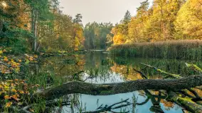 Jesień w Rezerwacie Przyrody Krutynia, październik 2025 r. - zdjęcie 13