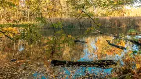 Jesień w Rezerwacie Przyrody Krutynia, październik 2025 r. - zdjęcie 70