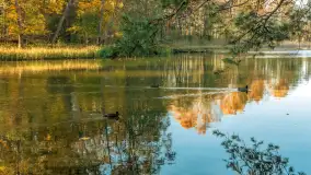 Jesień w Rezerwacie Przyrody Krutynia, październik 2025 r. - zdjęcie 60