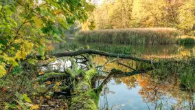 Jesień w Rezerwacie Przyrody Krutynia, październik 2025 r. - zdjęcie 41