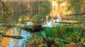 Jesień w Rezerwacie Przyrody Krutynia, październik 2025 r. - zdjęcie 55