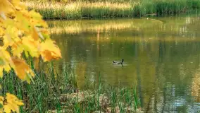 Jesień w Rezerwacie Przyrody Krutynia, październik 2025 r. - zdjęcie 59