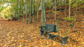 Jesień w Rezerwacie Przyrody Krutynia, październik 2025 r. - zdjęcie 44