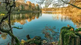 Jesień w Rezerwacie Przyrody Krutynia, październik 2025 r. - zdjęcie 61