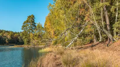 Mazurska jesień nad jeziorem Wesołek, październik 2025 r.