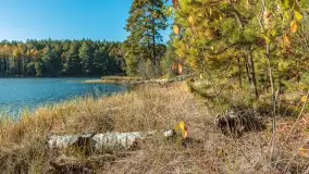 Mazurska jesień nad jeziorem Wesołek, październik 2025 r. - zdjęcie 37