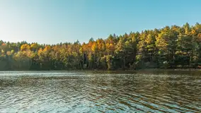 Mazurska jesień nad jeziorem Wesołek, październik 2025 r. - zdjęcie 13