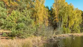 Mazurska jesień nad jeziorem Wesołek, październik 2025 r. - zdjęcie 19