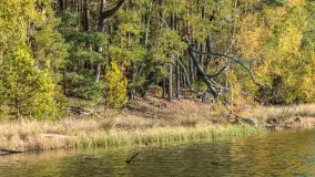 Mazurska jesień nad jeziorem Wesołek, październik 2025 r. - zdjęcie 44