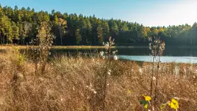 Mazurska jesień nad jeziorem Wesołek, październik 2025 r. - zdjęcie 29