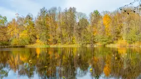 Jesień w Boyen Water Park, po lecie już tylko spacery... - zdjęcie 18