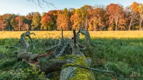 Jesień w Rezerwacie Przyrody Sztynort, październik 2025 r. - zdjęcie 2