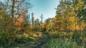 Jesień w Rezerwacie Przyrody Sztynort, październik 2025 r. - zdjęcie 45