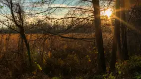 Końcówka mazurskiej, złotej jesieni, listopad 2025 r. - zdjęcie 14