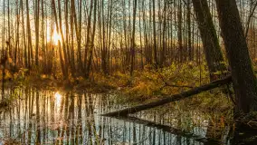 Końcówka mazurskiej, złotej jesieni, listopad 2025 r. - zdjęcie 24