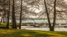 Końcówka jesieni w Pięknym Brzegu, nad jeziorem Święcajty, listopad 2025 r. - zdjęcie 10