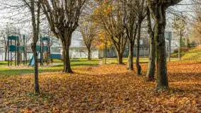 Końcówka jesieni w Pięknym Brzegu, nad jeziorem Święcajty, listopad 2025 r. - zdjęcie 12