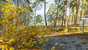 Końcówka jesieni w Pięknym Brzegu, nad jeziorem Święcajty, listopad 2025 r. - zdjęcie 15