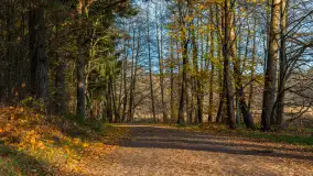 Końcówka jesieni przy śluzie Przerwanki, listopad 2025 r. - zdjęcie 28