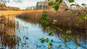 Końcówka jesieni przy śluzie Przerwanki, listopad 2025 r. - zdjęcie 8