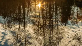 Końcówka jesieni przy śluzie Przerwanki, listopad 2025 r. - zdjęcie 5