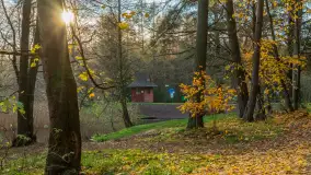 Końcówka jesieni przy śluzie Przerwanki, listopad 2025 r. - zdjęcie 7