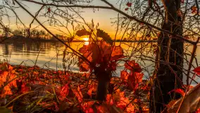 Zachód słońca nad jeziorem Niegocin, listopad 2025 r. - zdjęcie 9